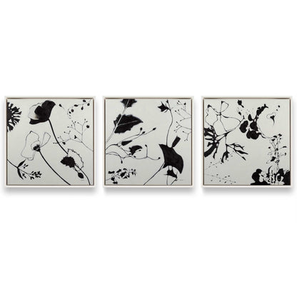 [Color:Opaque White], Picture of art in a White frame