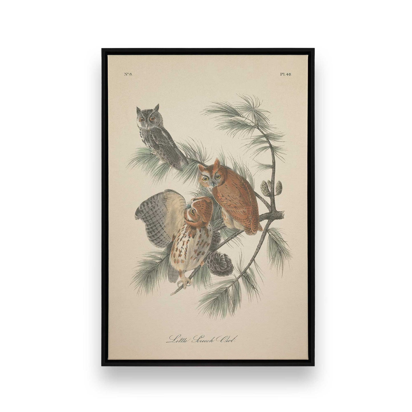 [Color:Satin Black], Front image of the art