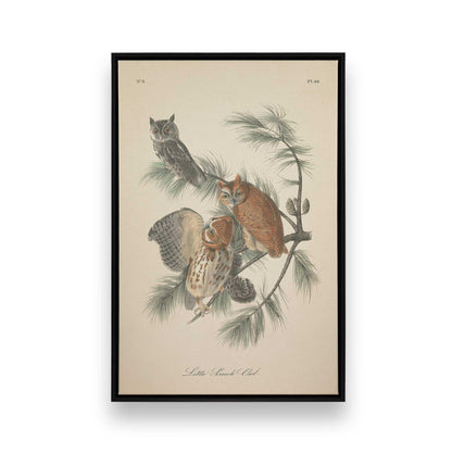 [Color:Satin Black], Front image of the art