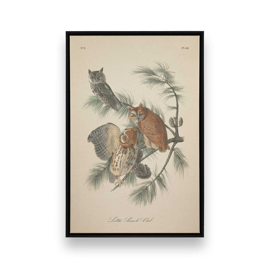 [Color:Satin Black], Front image of the art