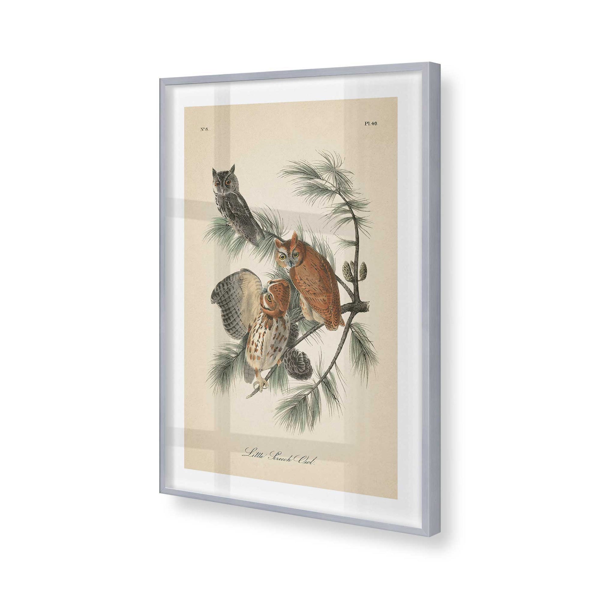 [Color:Polished Chrome], Picture of art in a Polished Chrome frame of the corner