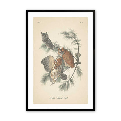 [Color:Satin Black],Front image of the art