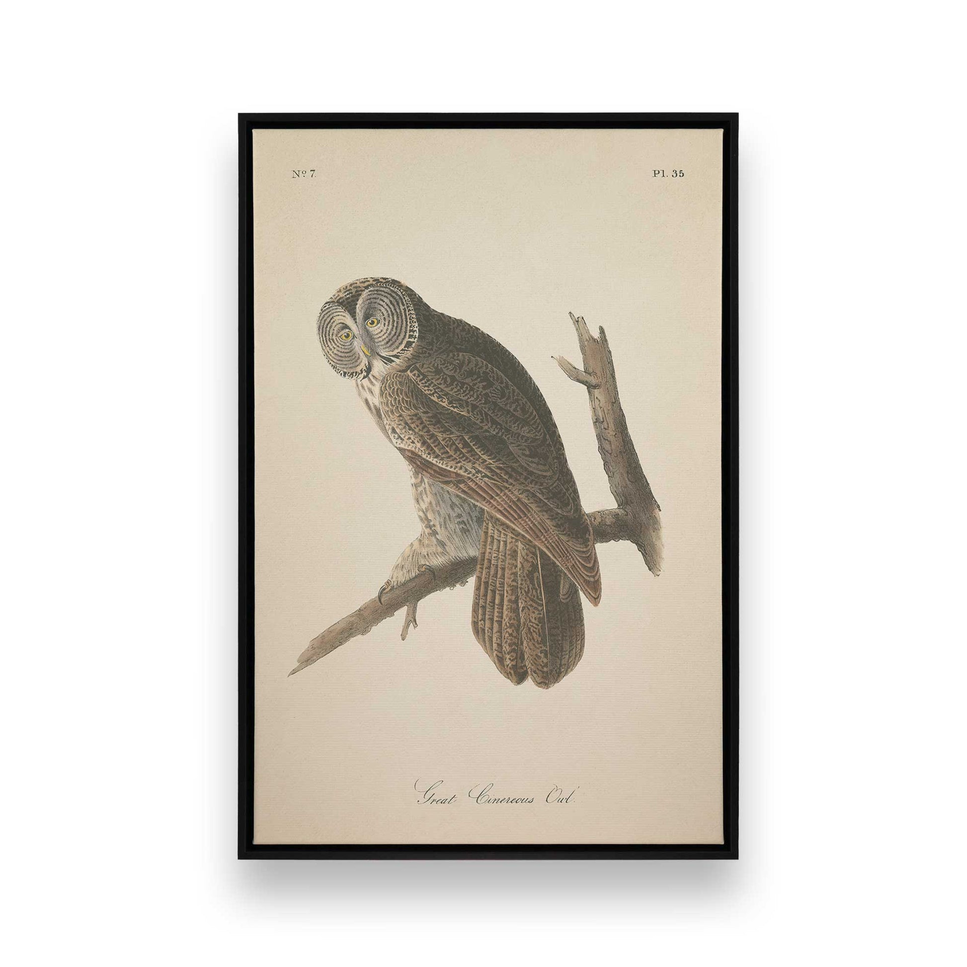 [Color:Satin Black], Front image of the art