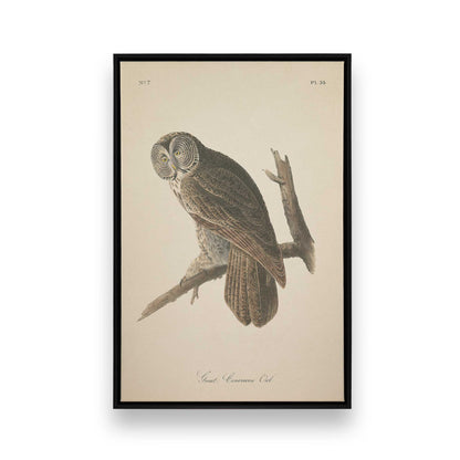 [Color:Satin Black], Front image of the art