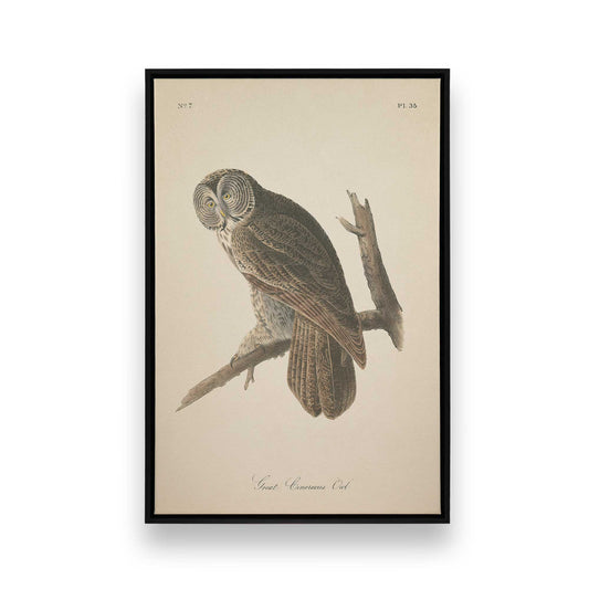 [Color:Satin Black], Front image of the art