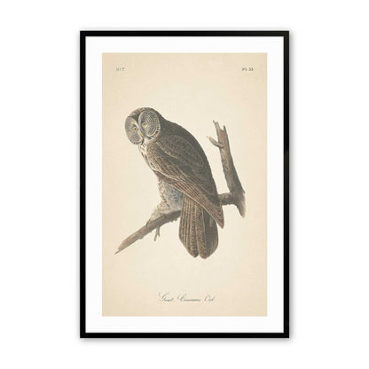 [Color:Satin Black],Front image of the art