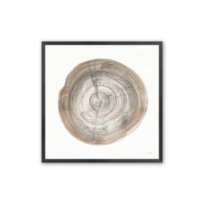 Tree Ring Portraits Art Print, Set of 4
