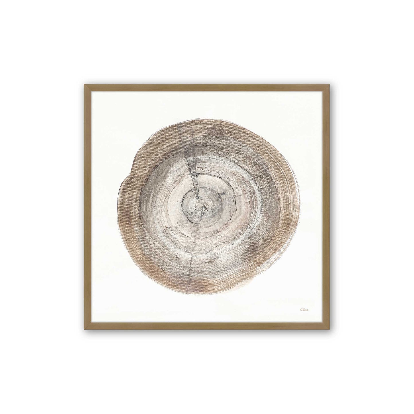Tree Ring Portraits Art Print, Set of 4