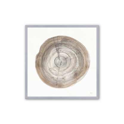 Tree Ring Portraits Art Print, Set of 4