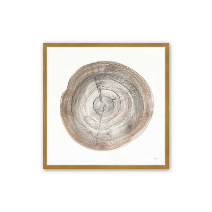 Tree Ring Portraits Art Print, Set of 4