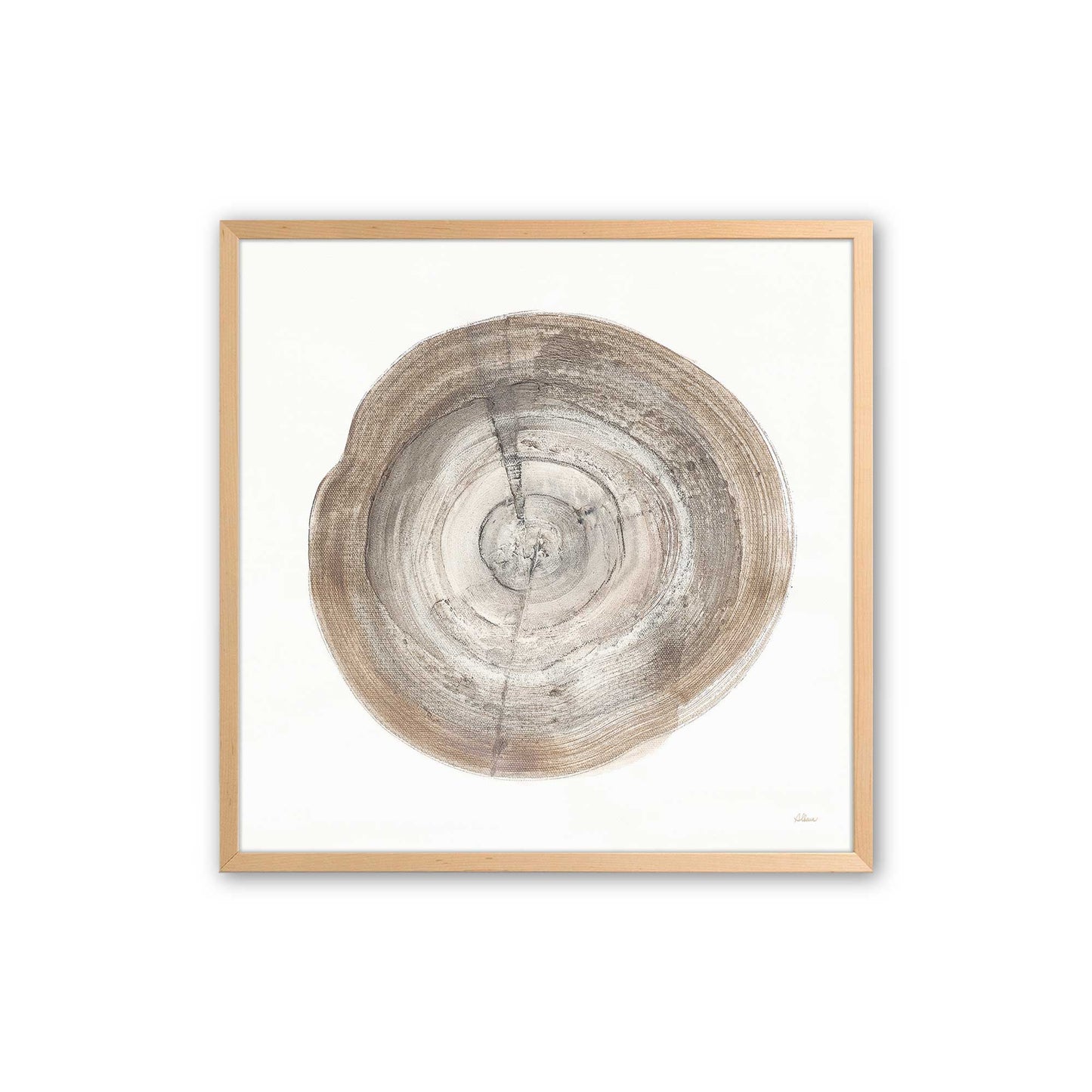 Tree Ring Portraits Art Print, Set of 4