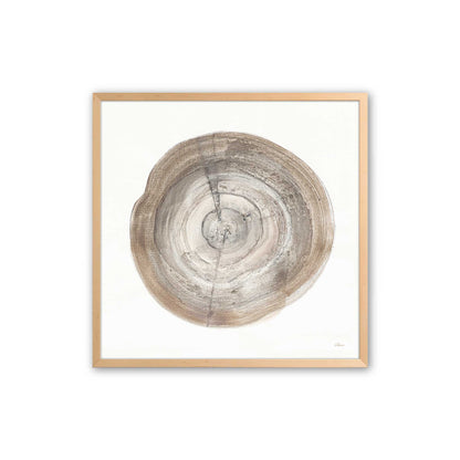 Tree Ring Portraits Art Print, Set of 4