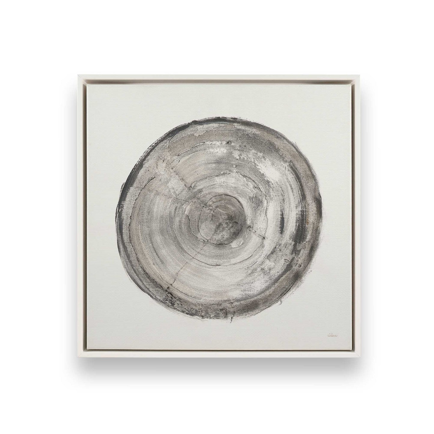 Tree Ring Portraits Canvas Print, Set of 4