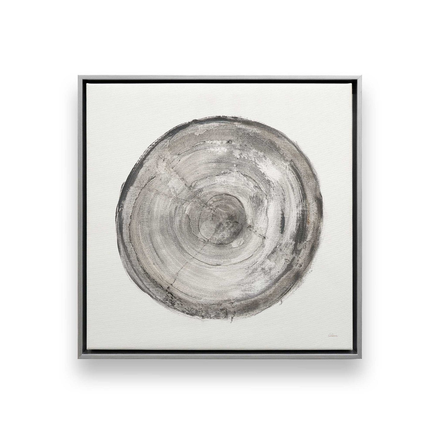 Tree Ring Portraits Canvas Print, Set of 4