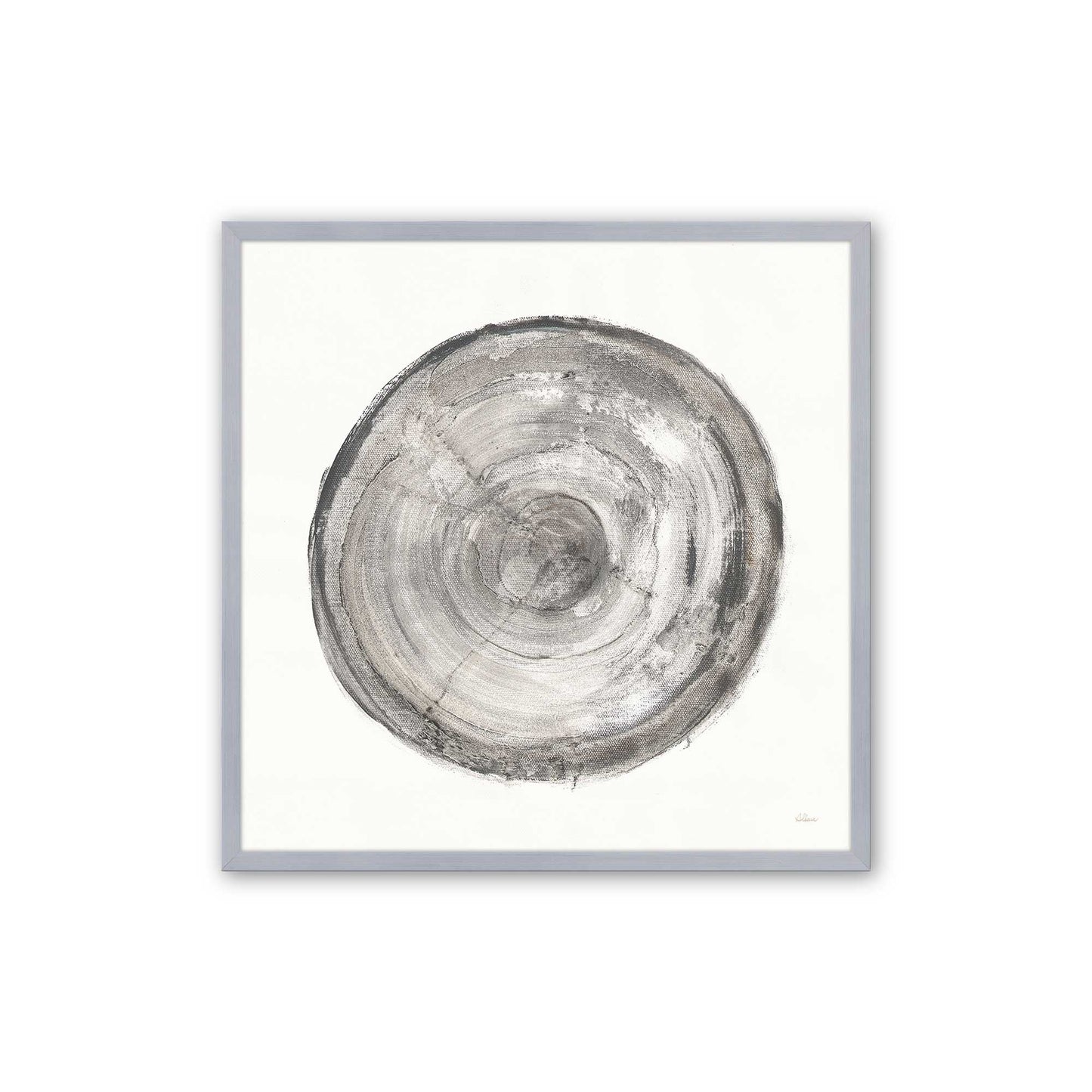 Tree Ring Portraits Art Print, Set of 4