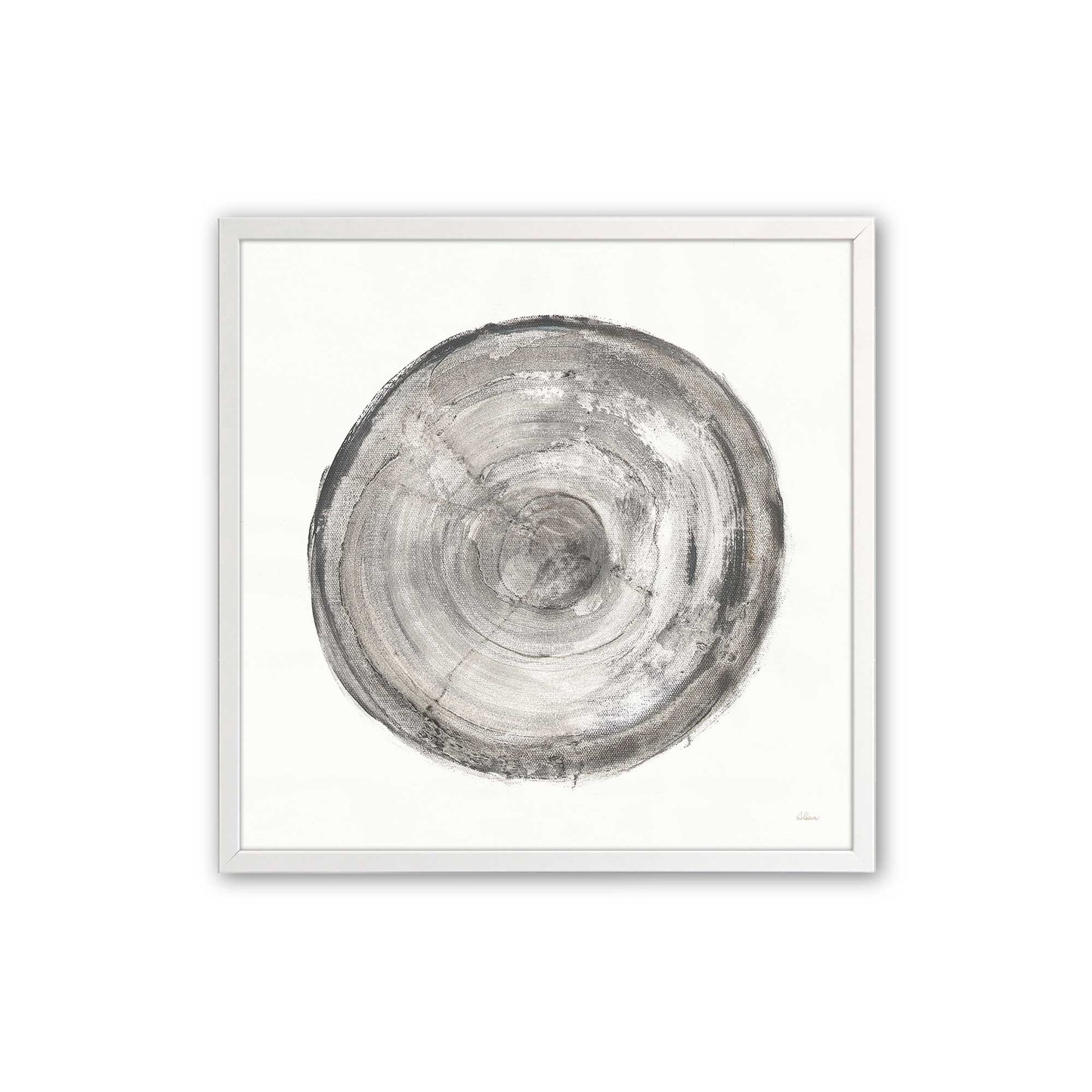 Tree Ring Portraits Art Print, Set of 4
