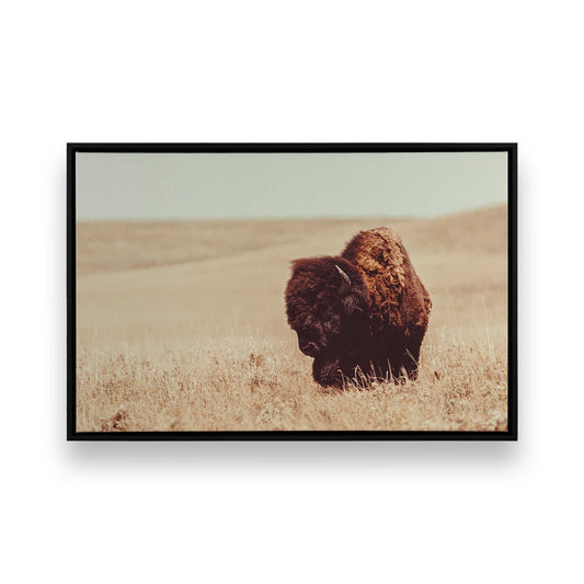 [Color:Satin Black], Front image of the art