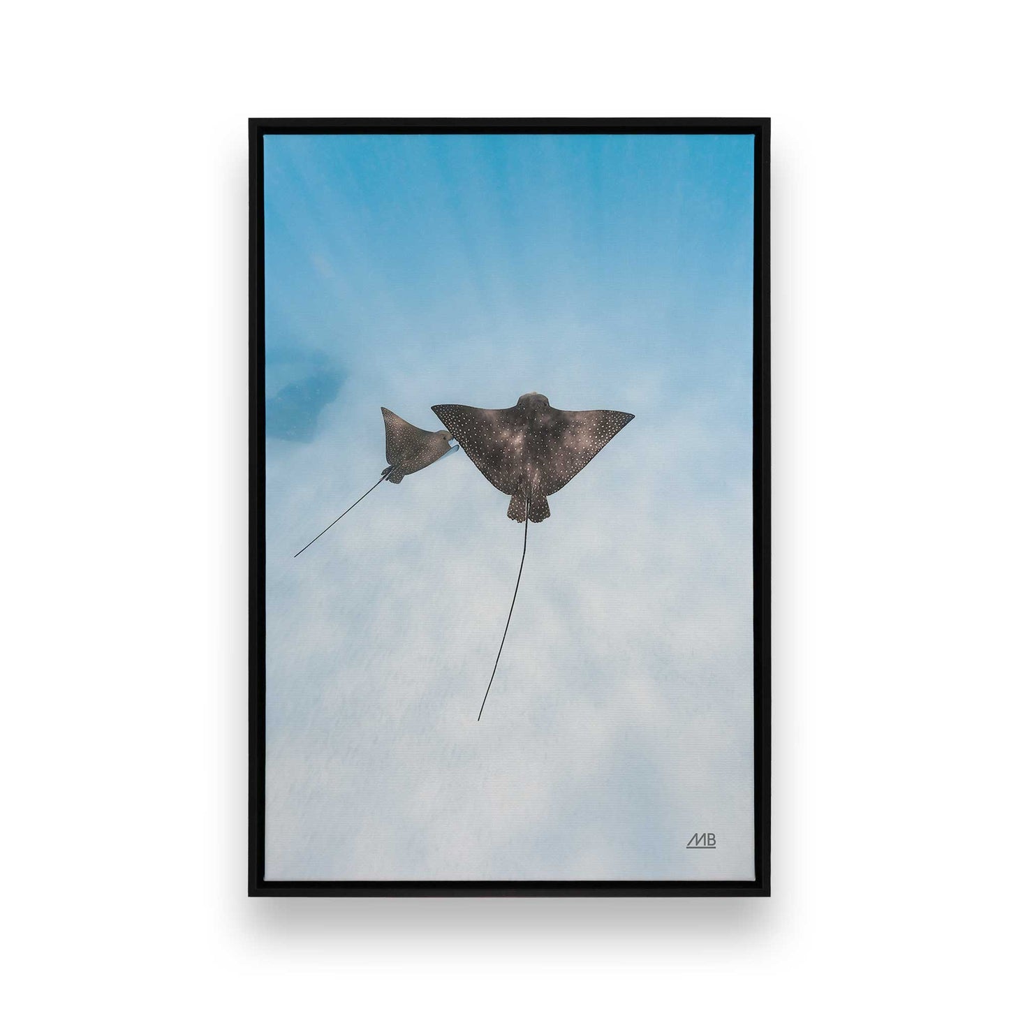 [Color:Satin Black], Front image of the art