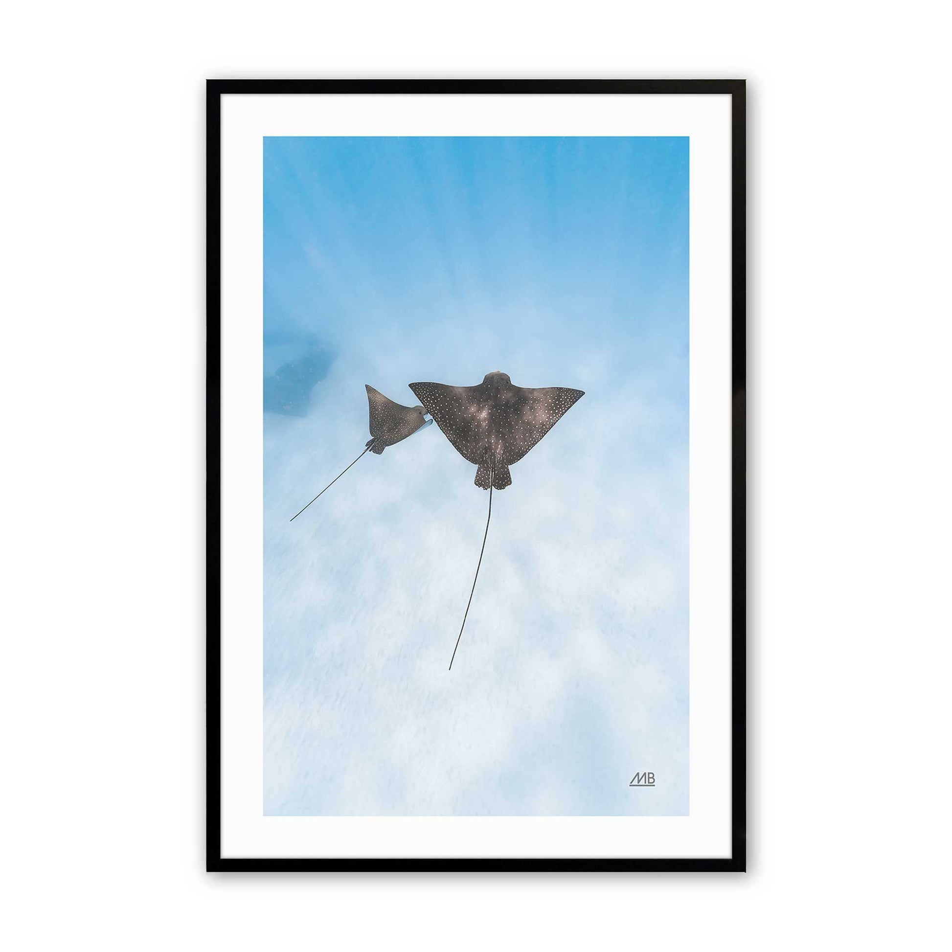 [Color:Satin Black],Front image of the art