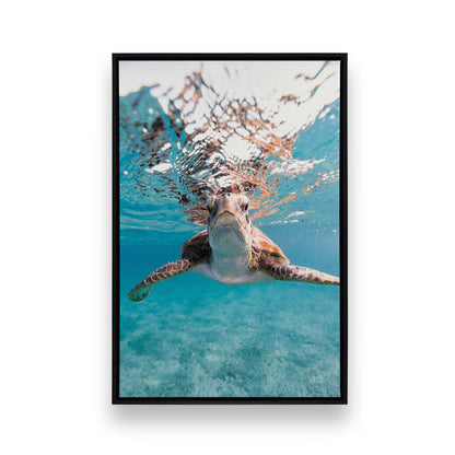 [Color:Satin Black], Front image of the art