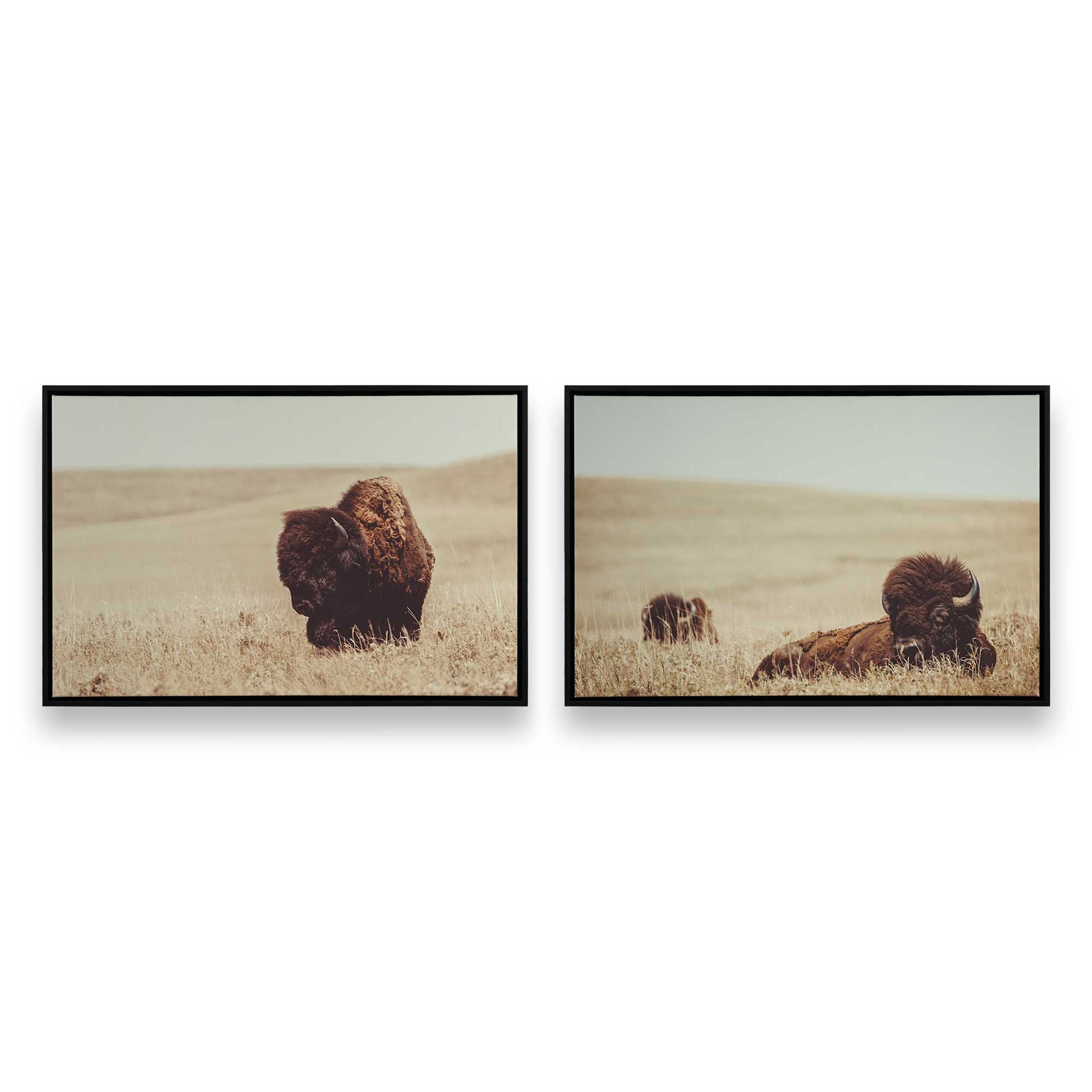[Color:Satin Black], Front image of the art
