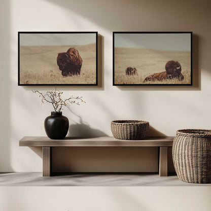 [LIFESTYLE],[SPECIAL],  Picture of art in a room