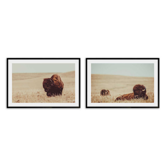 [Color:Satin Black],Front image of the art