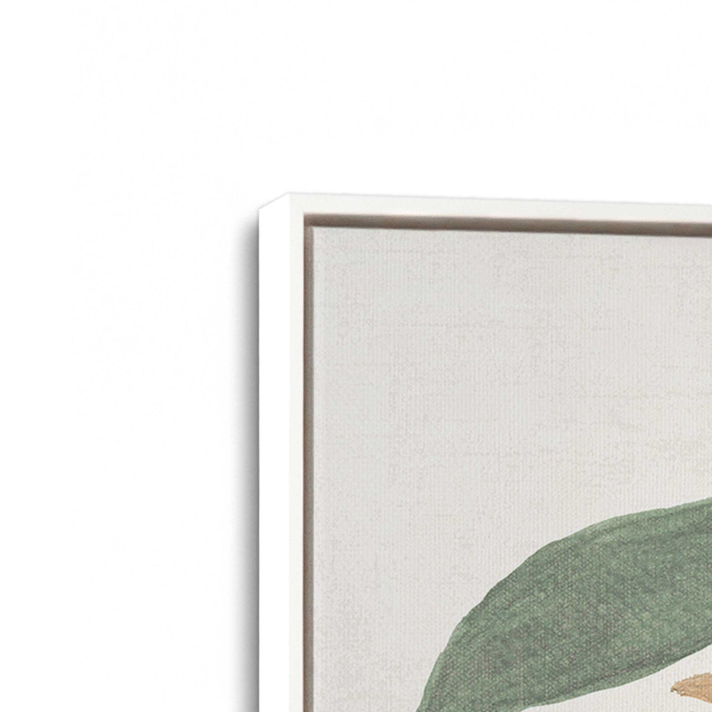 [Color:Opaque White], Picture of the corner of the art