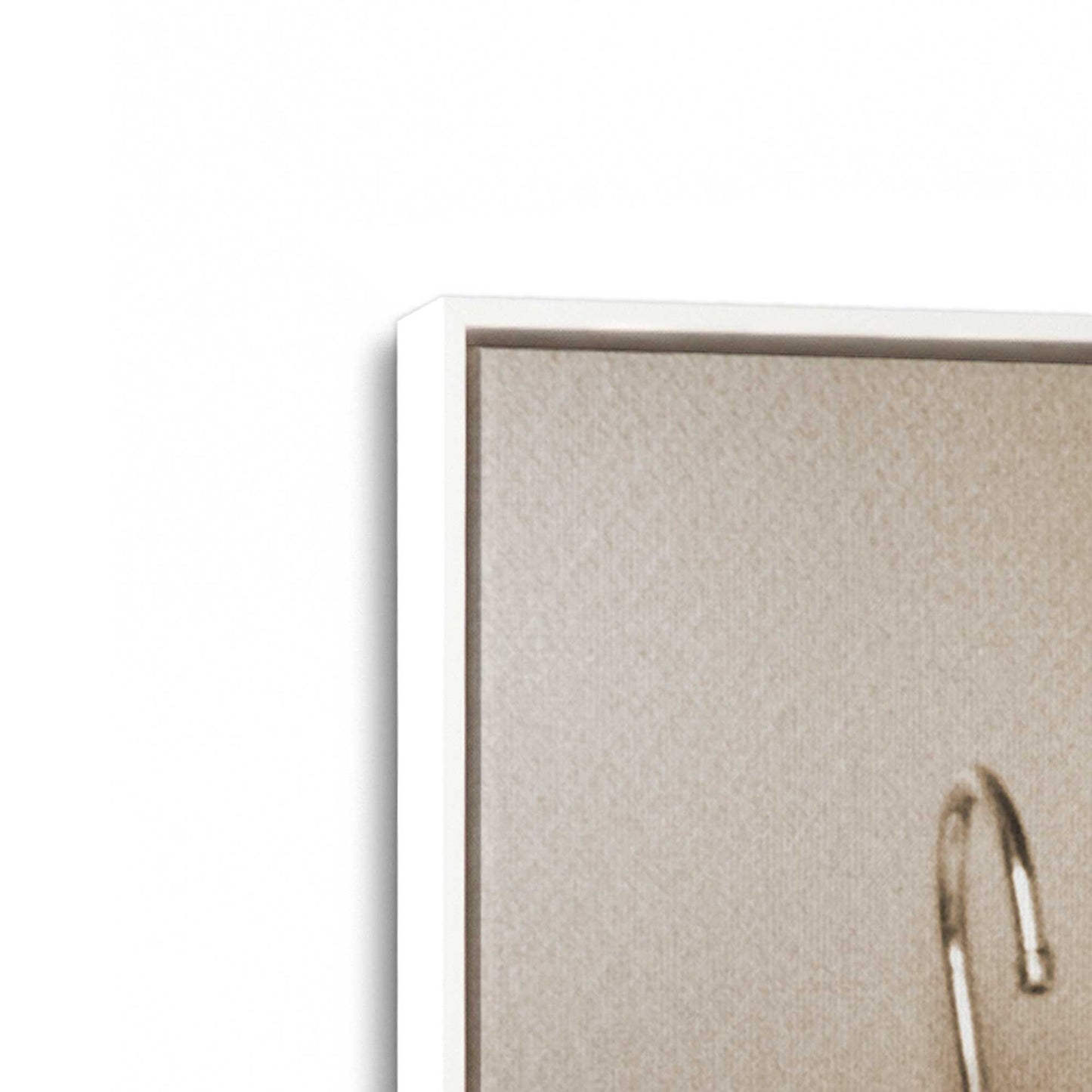 [Color:Opaque White], Picture of art in a White frame at an angle