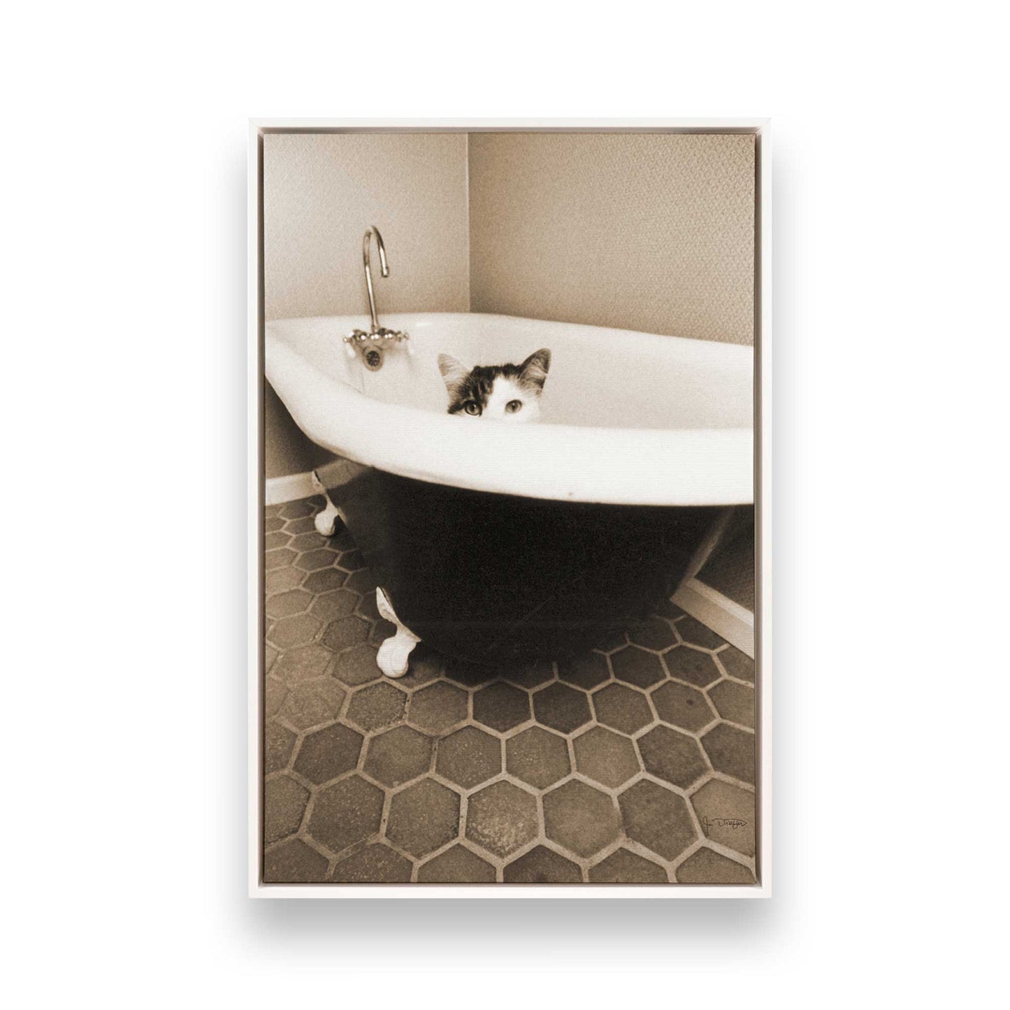 [Color:Opaque White], Picture of art in a White frame