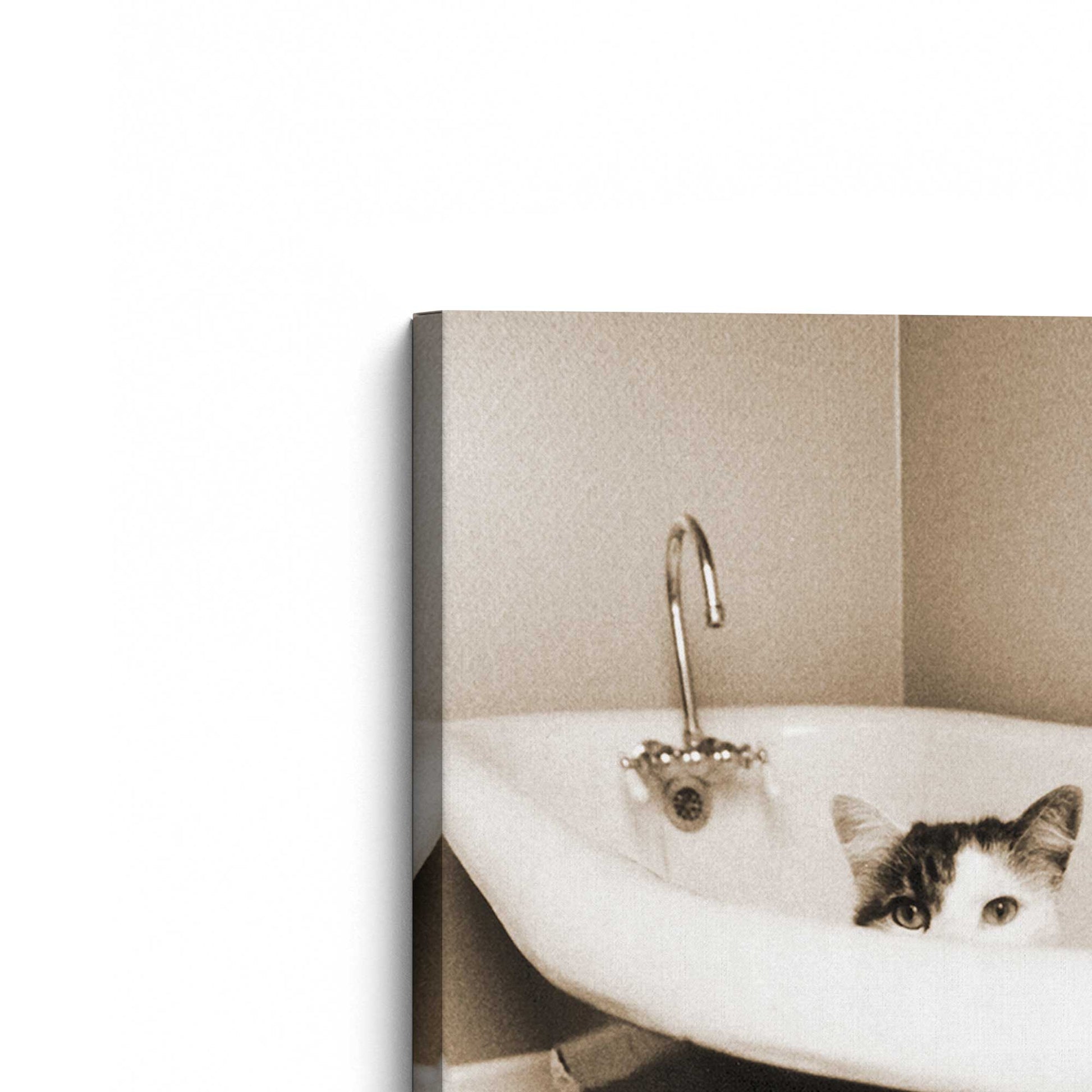 [Color:Stretched Canvas], Picture of the corner of the art