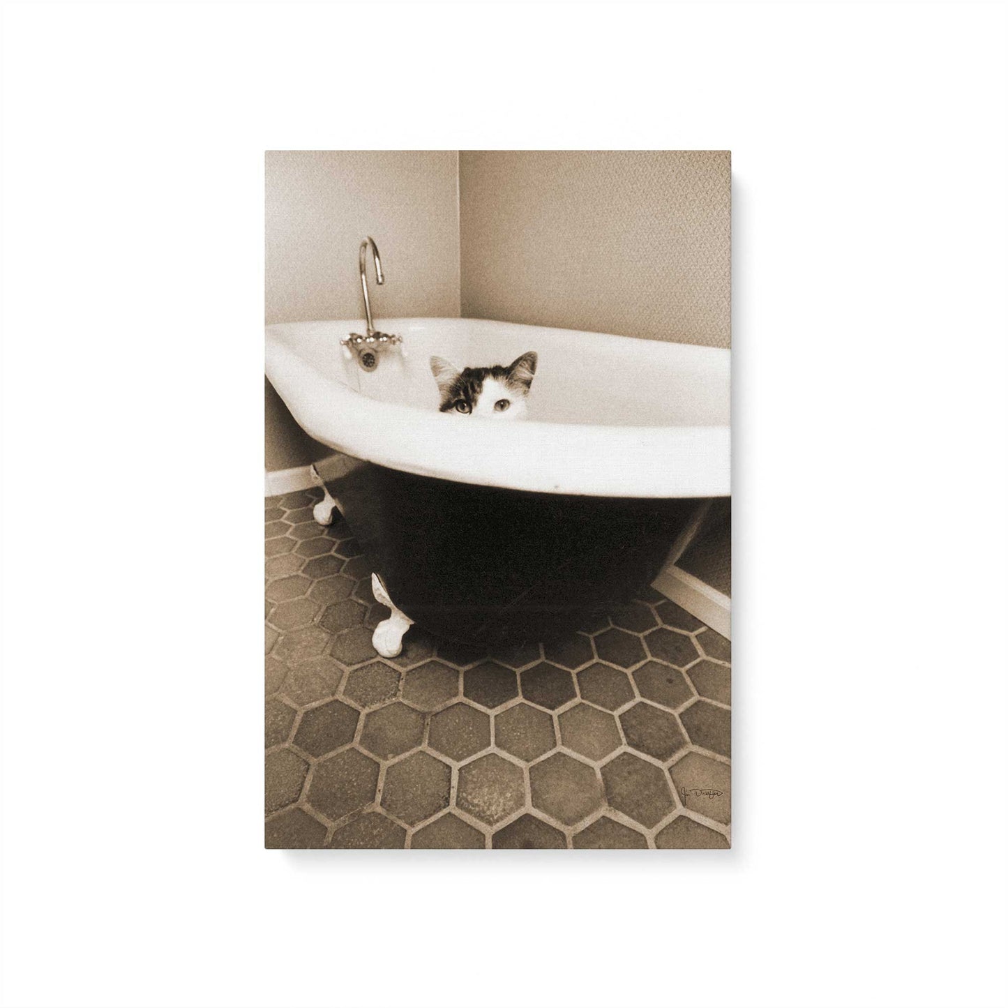 [Color:Stretched Canvas], Picture of art