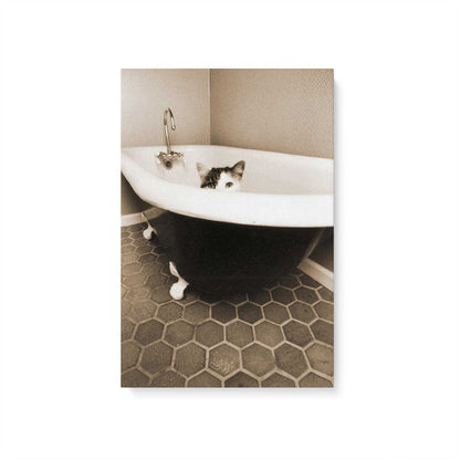 [Color:Stretched Canvas], Picture of art