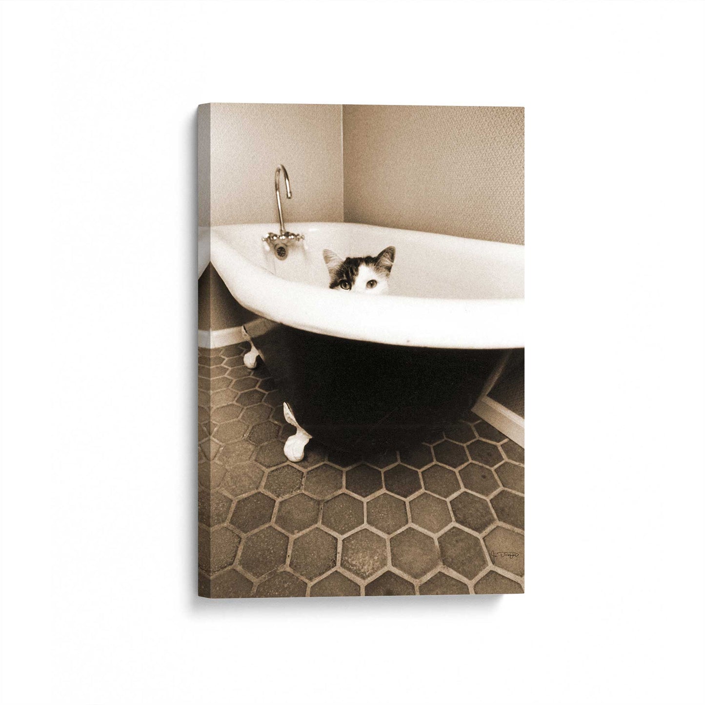 [Color:Stretched Canvas], Picture of art at an angle