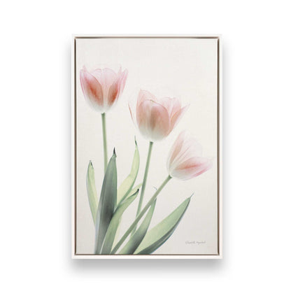 [Color:Opaque White], Picture of art in a White frame