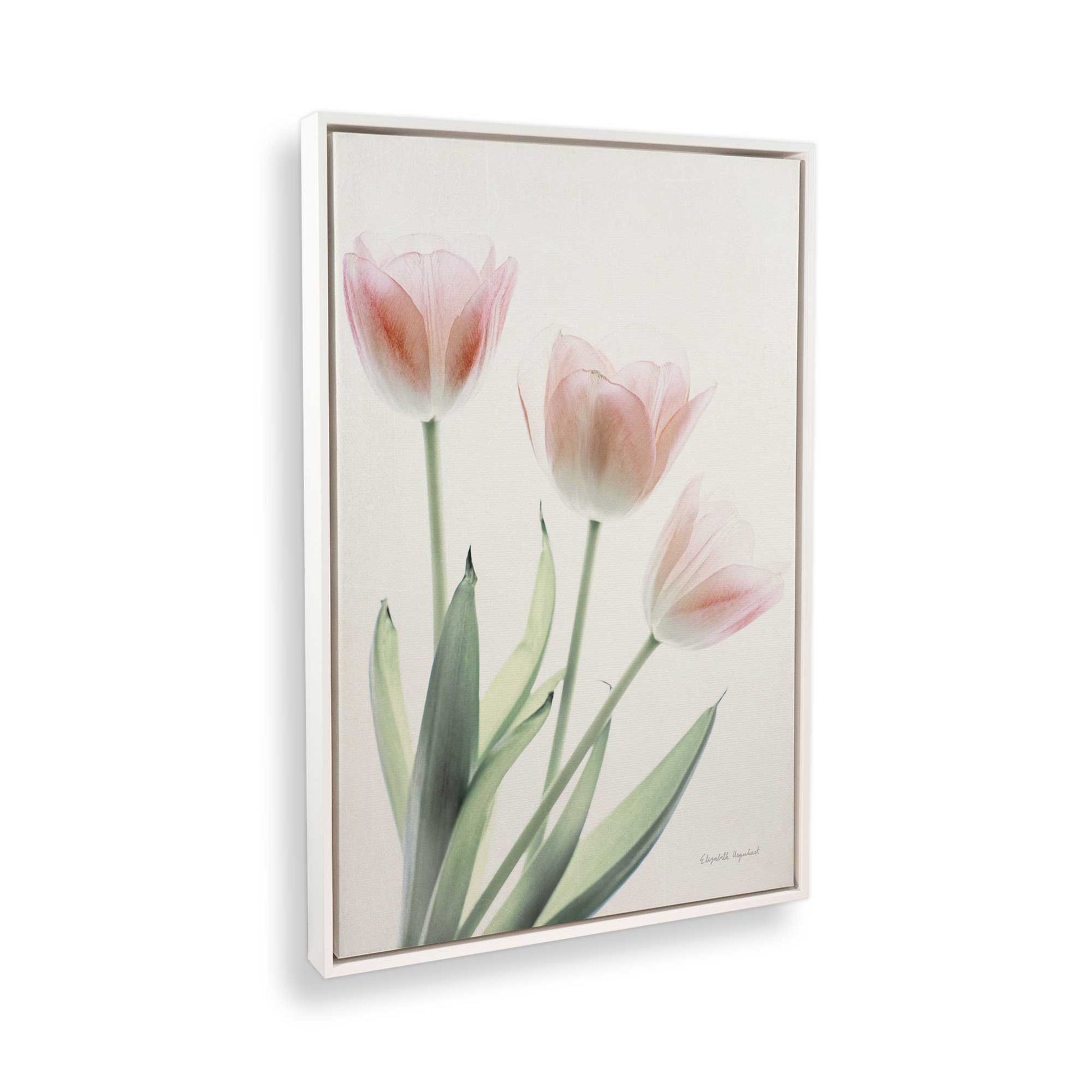 [Color:Opaque White], Picture of the corner of the art