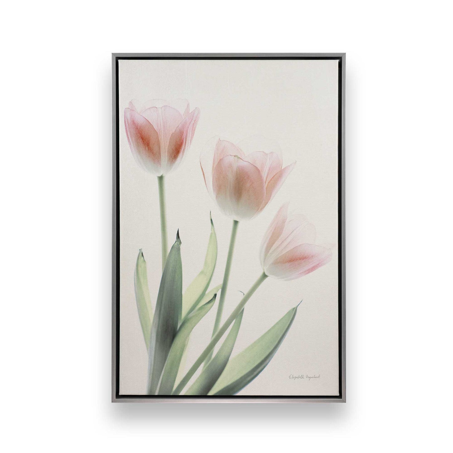 [Color:Polished Chrome], Picture of art in a Polished Chrome frame