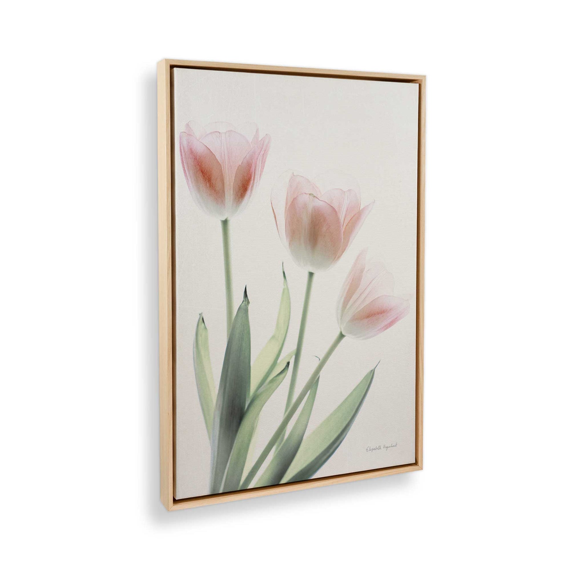 [Color:American Maple], Picture of the corner of the art