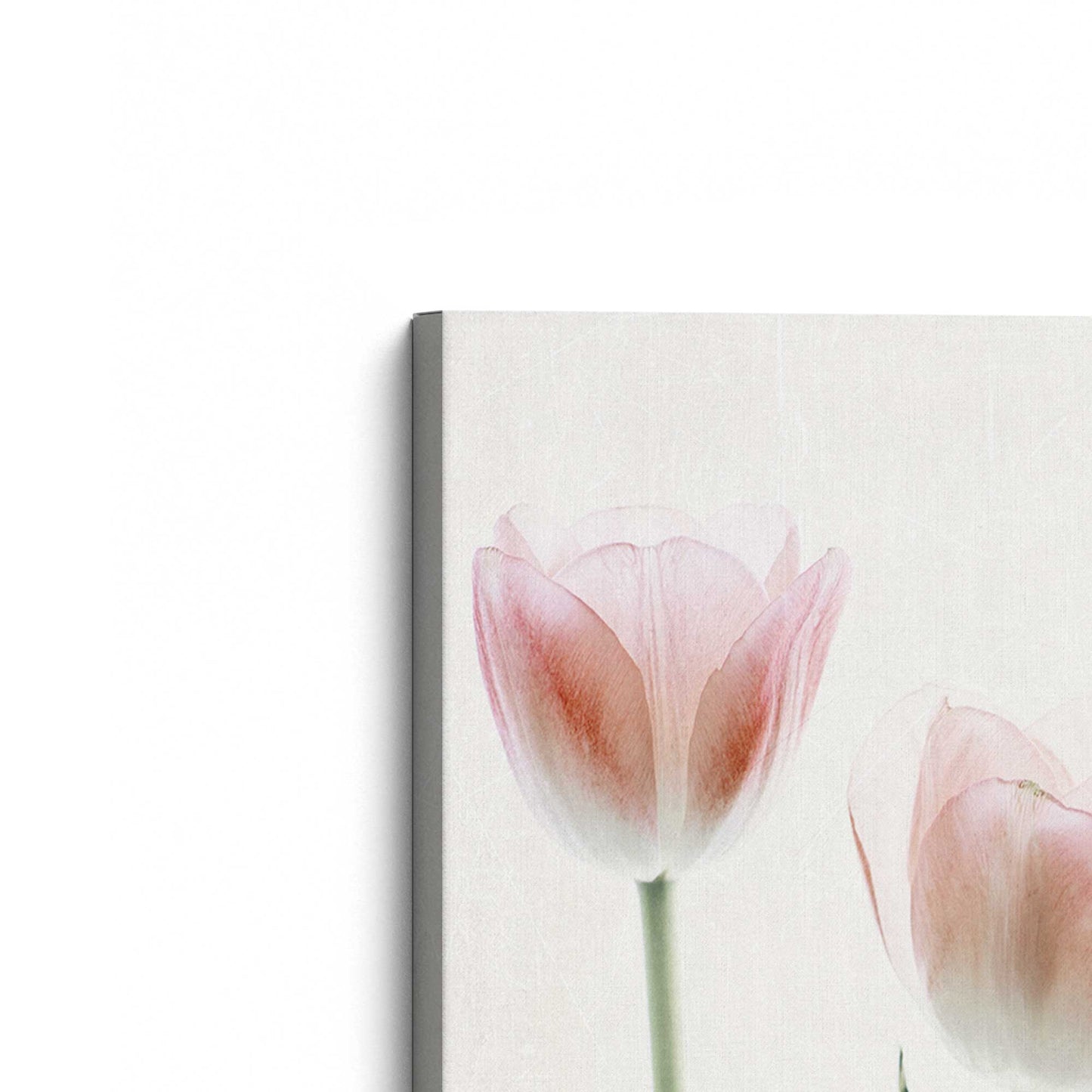 [Color:Stretched Canvas], Picture of the corner of the art