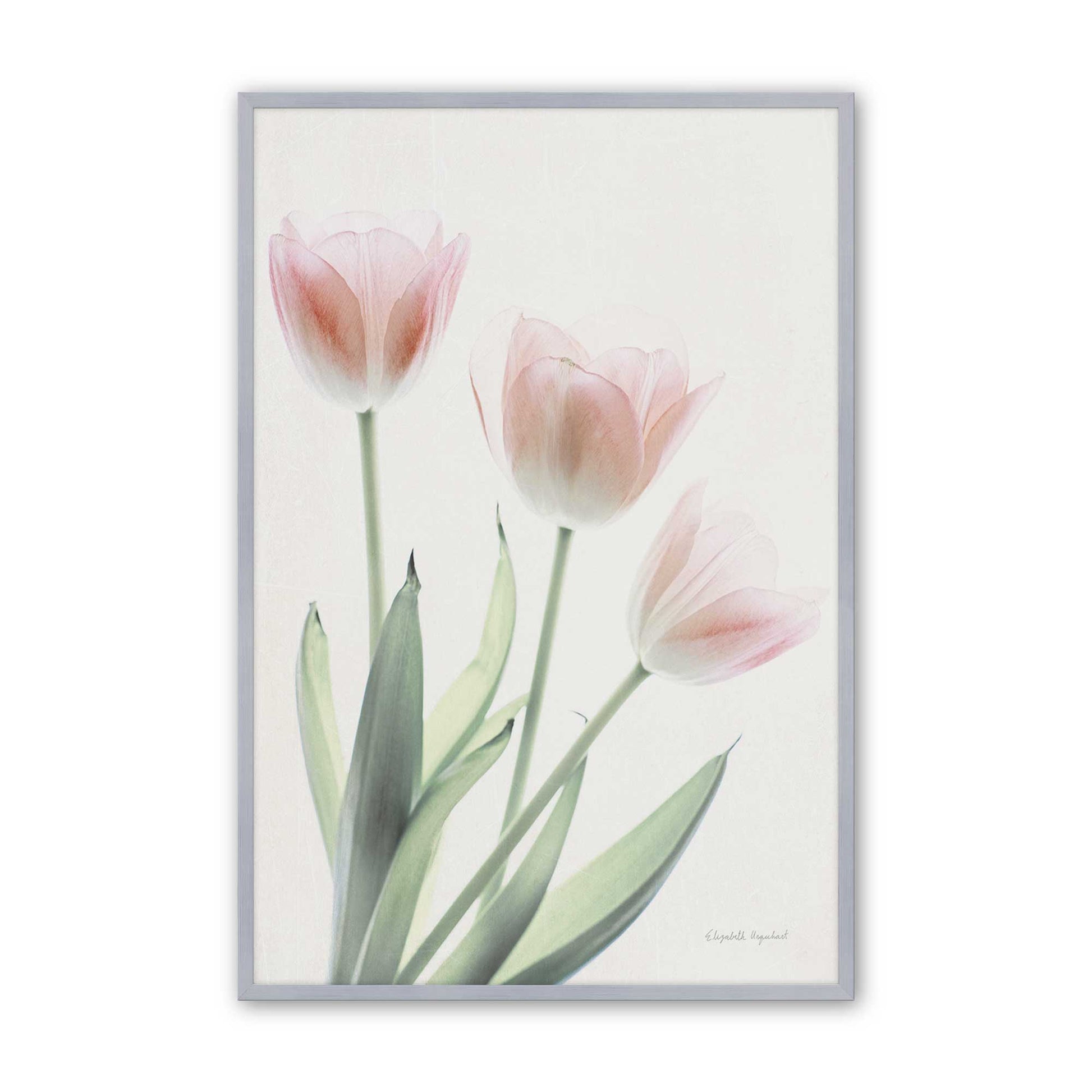 [Color:Polished Chrome], Picture of art in a Polished Chrome frame