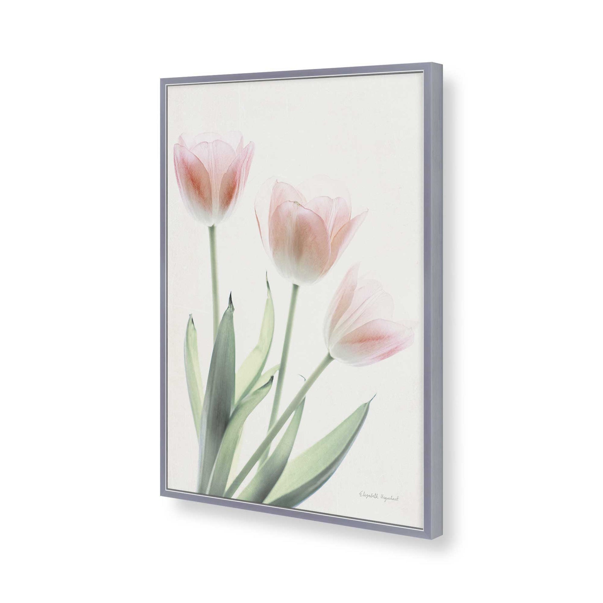 [Color:Polished Chrome], Picture of art in a Polished Chrome frame of the corner