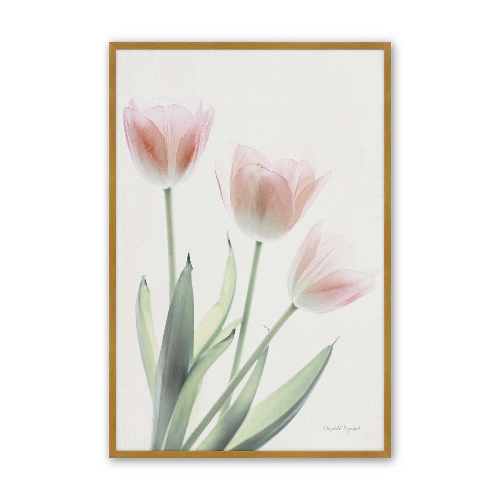 [Color:Polished Gold], Picture of art in a Polished Gold frame