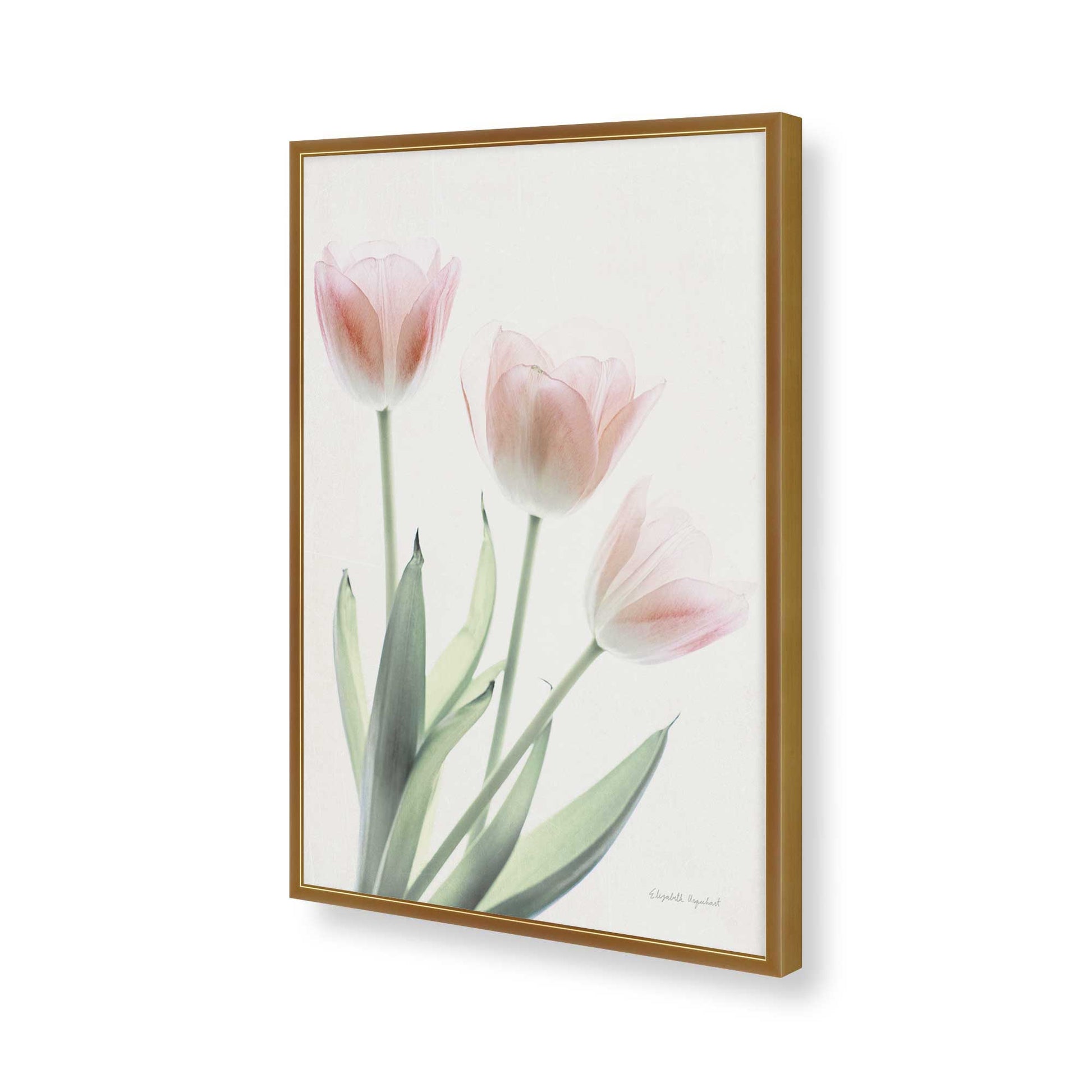 [Color:Polished Gold], Picture of art in a Polished Gold frame of the corner
