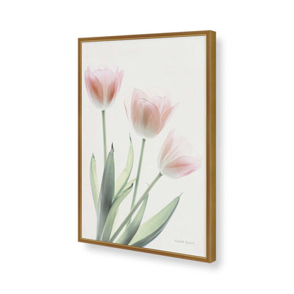 [Color:Polished Gold], Picture of art in a Polished Gold frame of the corner