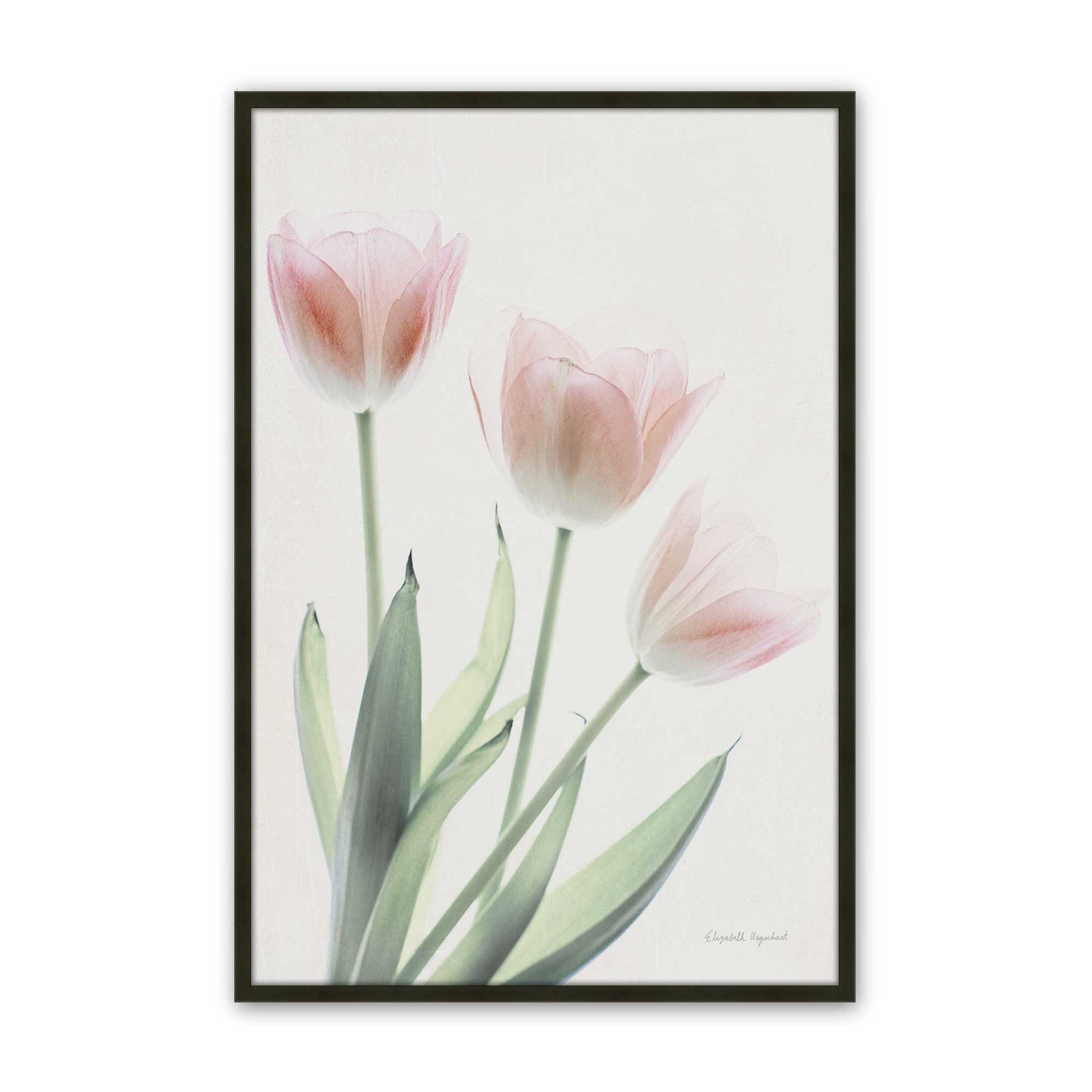 [Color:Satin Black], Picture of art in a Satin Black frame