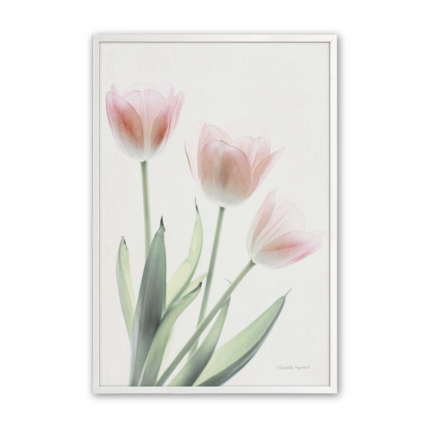 [Color:Opaque White], Picture of art in a Opaque White frame