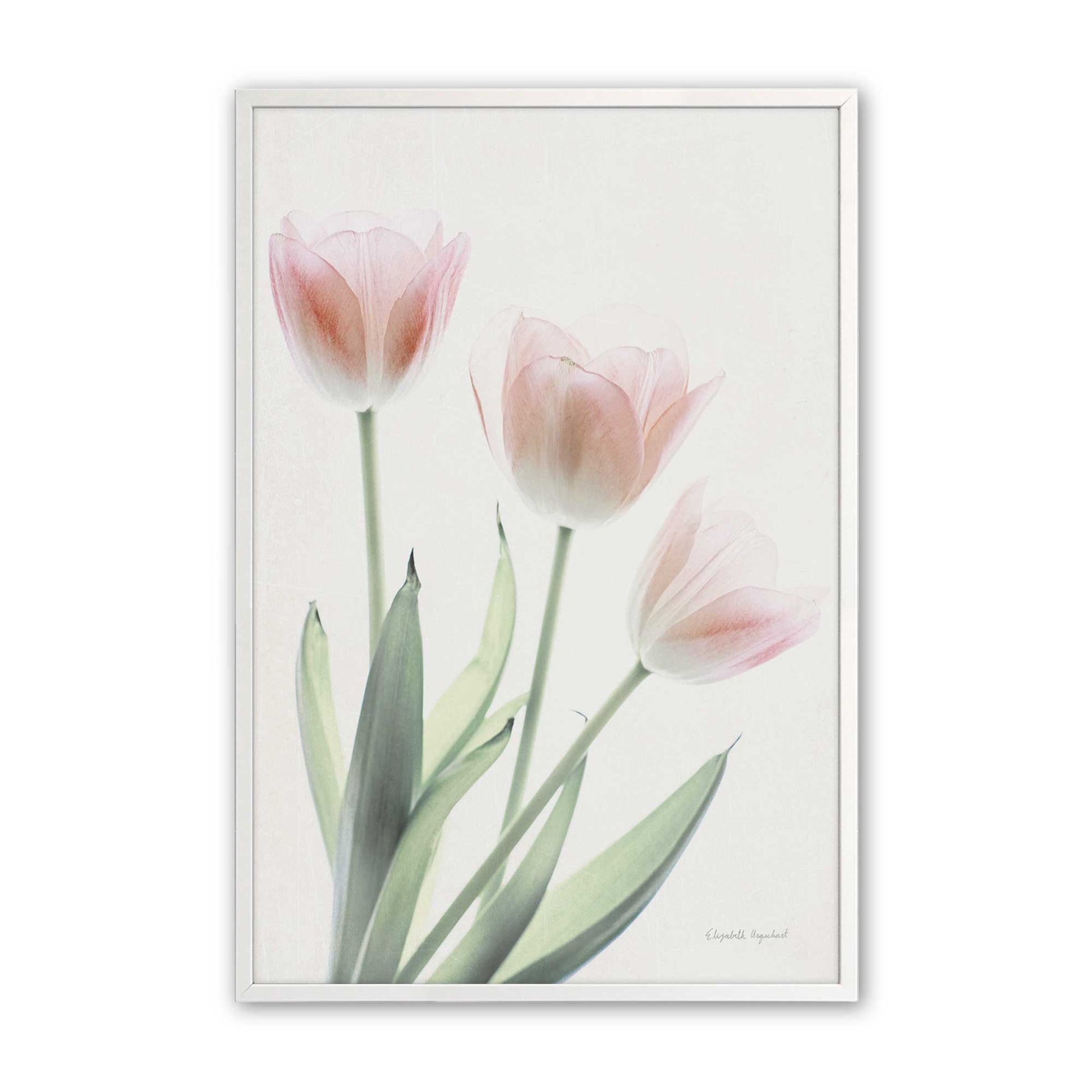 [Color:Opaque White], Picture of art in a Opaque White frame