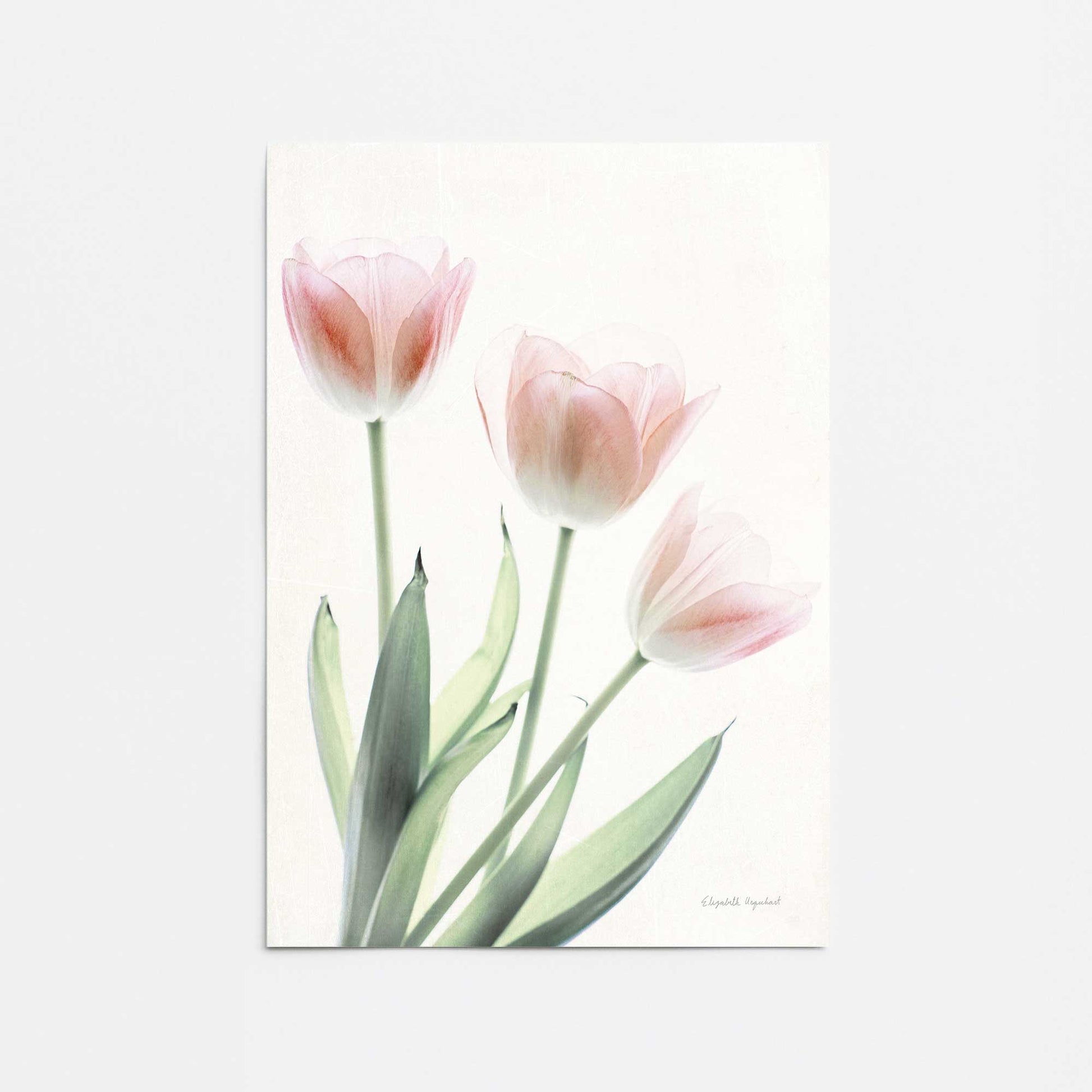 [Color:Rolled Print], Picture of close up of art