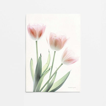 [Color:Rolled Print], Picture of close up of art