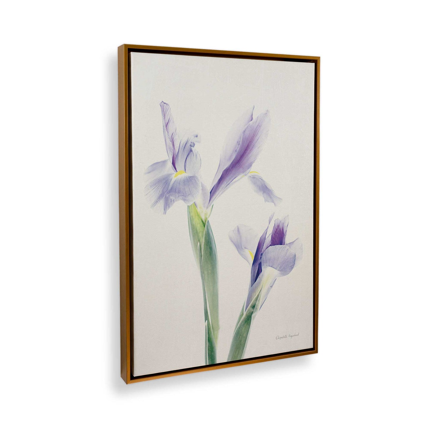 [Color:Polished Gold], Picture of the corner of the art